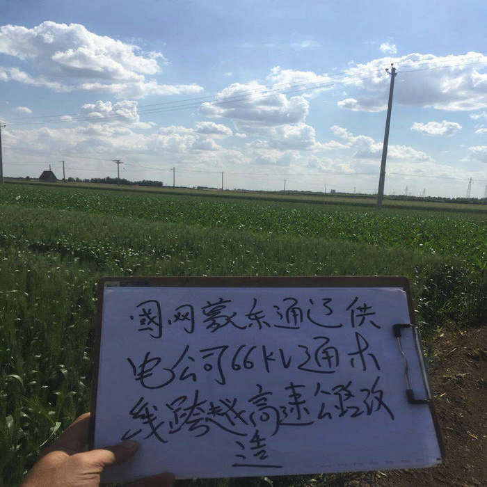 国网蒙东通辽供电公司66KV通木线跨越高速公路改